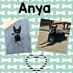 Photo of Anya