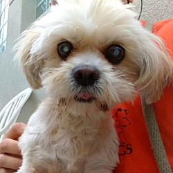 Photo of Molly