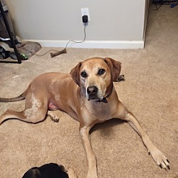 Photo of Bubba