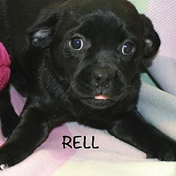 Photo of Rell