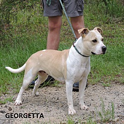 Thumbnail photo of Georgetta #4