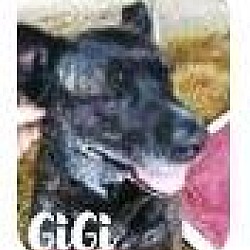 Thumbnail photo of GiGi #4