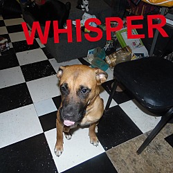 Thumbnail photo of Whisper #2