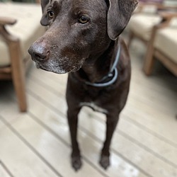 Photo of Chauncey