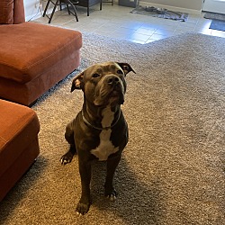 Photo of Ghost