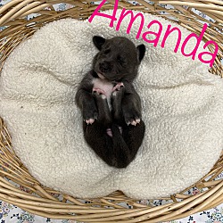 Thumbnail photo of Amanda #3