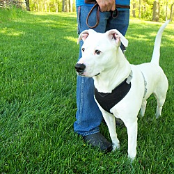 Thumbnail photo of Ghost #2