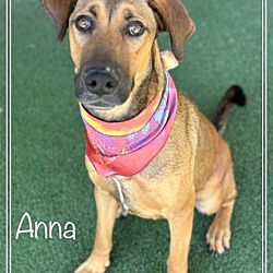 Thumbnail photo of ANNA #4