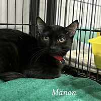 adopt-pet