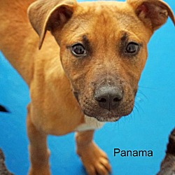 Thumbnail photo of Panama #1