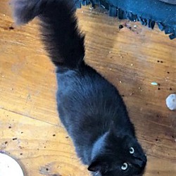 Photo of Fritzy