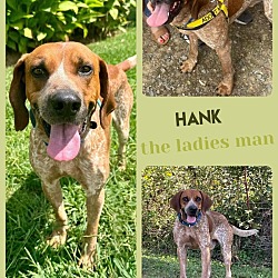 Thumbnail photo of Hank #1