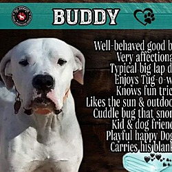 Thumbnail photo of Buddy #2
