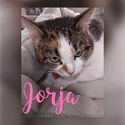 Photo of Jorja