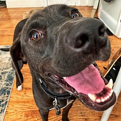 Photo of Porter