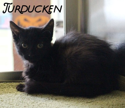 Photo of Turducken