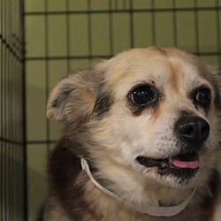 Thumbnail photo of Mama **In a foster home** #4
