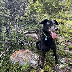 Photo of Winifred (Wini)