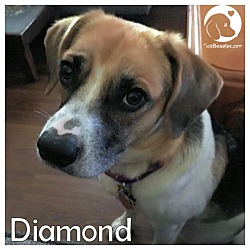 Thumbnail photo of Diamond #3