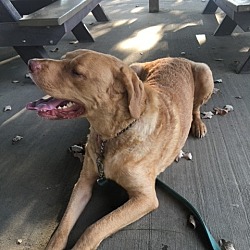 Photo of Hunter