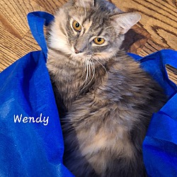 Thumbnail photo of Wendy-(glenna) #1