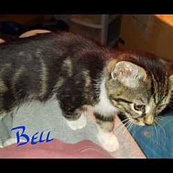 Thumbnail photo of Bell #1