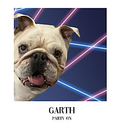Thumbnail photo of Garth #1