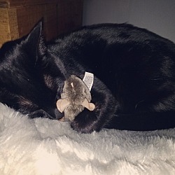 Thumbnail photo of Opal and Maggie #3