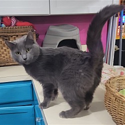 Photo of Storie