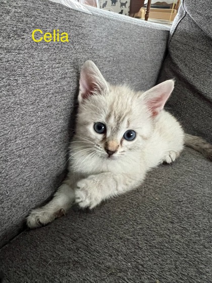 Photo of Celia