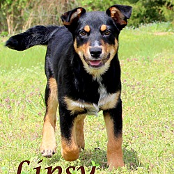 Thumbnail photo of Lipsy~adopted! #1
