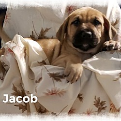 Photo of Jacob