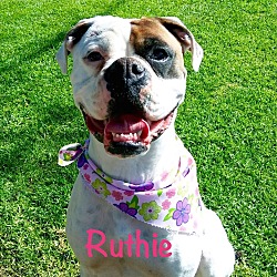 Thumbnail photo of Ruthie #1