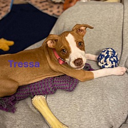 Photo of Tressa