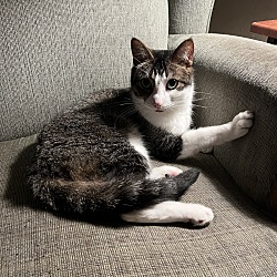 Photo of Rocket