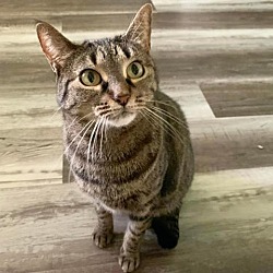Photo of Vanya
