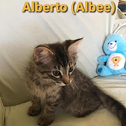 Thumbnail photo of Alberto #2