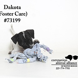 Thumbnail photo of Dakota  (Foster Care) #2