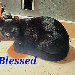 Photo of Blessed