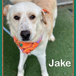 Thumbnail photo of JAKE #3