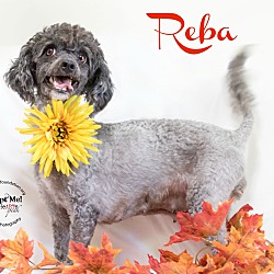 Thumbnail photo of Reba #1