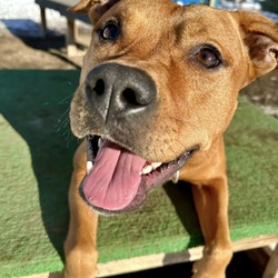 Photo of Bella