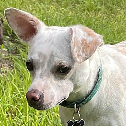 Photo of Praline