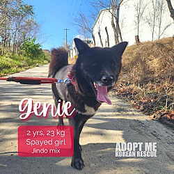 Photo of Genie