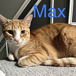 Thumbnail photo of Max and Bitzy #2