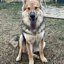 Photo of Zeus