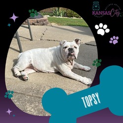 Thumbnail photo of Topsy #2