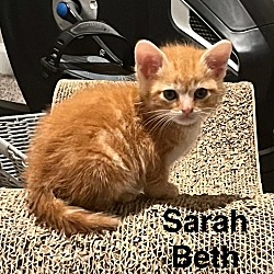 Photo of Sarah Beth