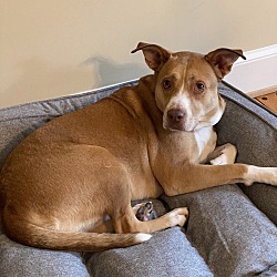 Thumbnail photo of Penny #2