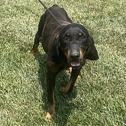 Photo of Lucy